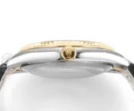 Rolex Datejust 41mm Two-Tone Gold and Steel | Mirck Clone